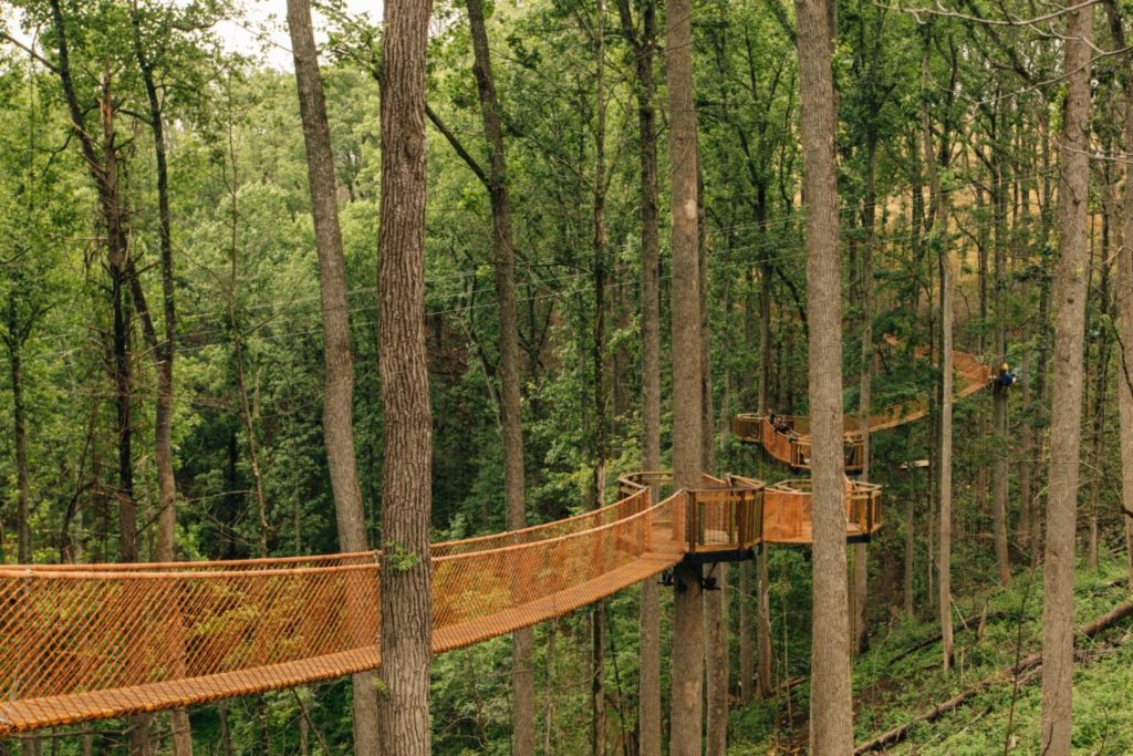 Anakeesta Tree Canopy Walk