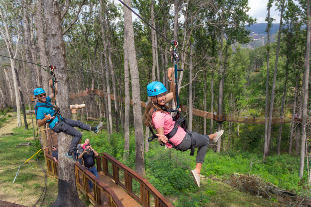 Anakeesta Duelling Ziplines