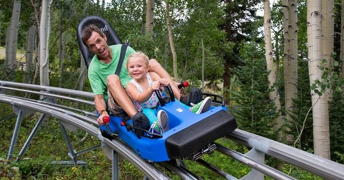 Mountain coaster