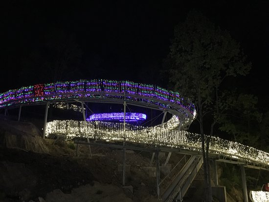 Rowdy Bear Mountain Coaster at night