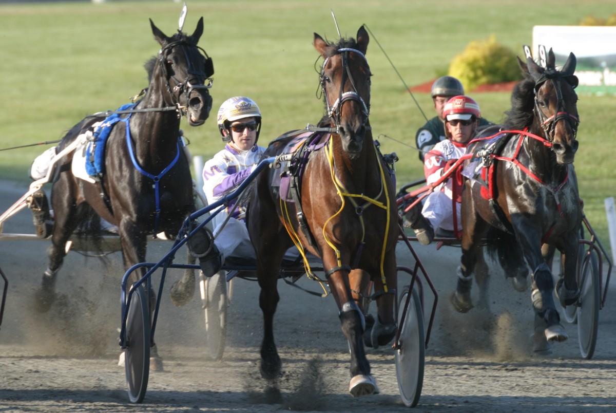 Horse Racing in Prince Edward Island