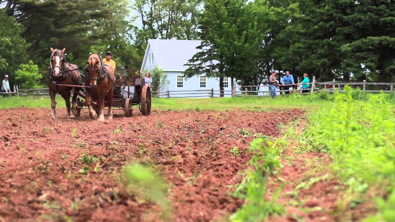 Anne Prince Edward Island