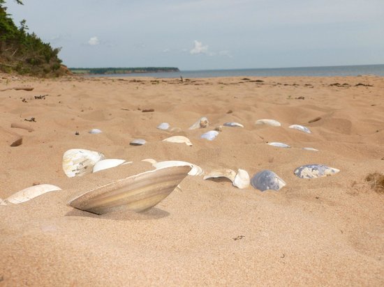 Sally's Beach Park in Eastern PEI