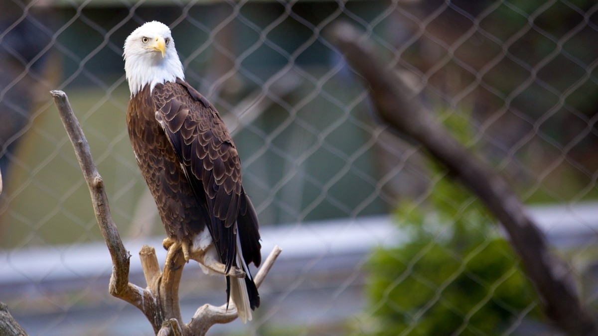 ZooAmerica in Hershey, PA