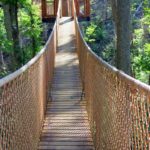 Anakeesta Tree Canopy Walk