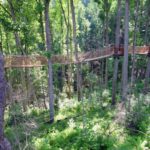 Anakeesta Tree Canopy Walk