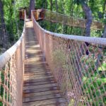 Anakeesta Tree Canopy Walk