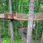 Anakeesta Tree Canopy Walk