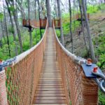 Anakeesta Tree Canopy Walk