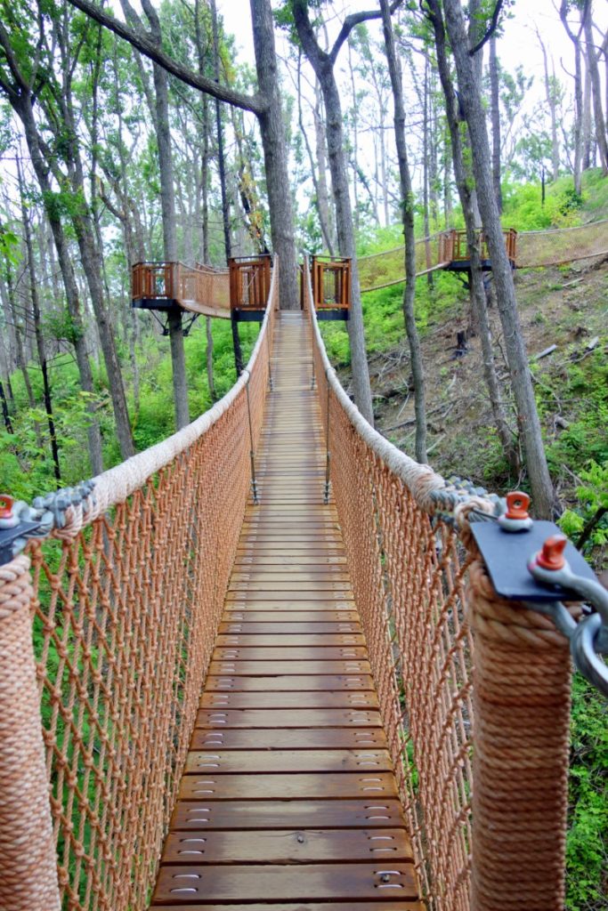 Roller Coasters in Tennessee - Anakeesta