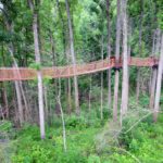 Anakeesta Tree Canopy Walk