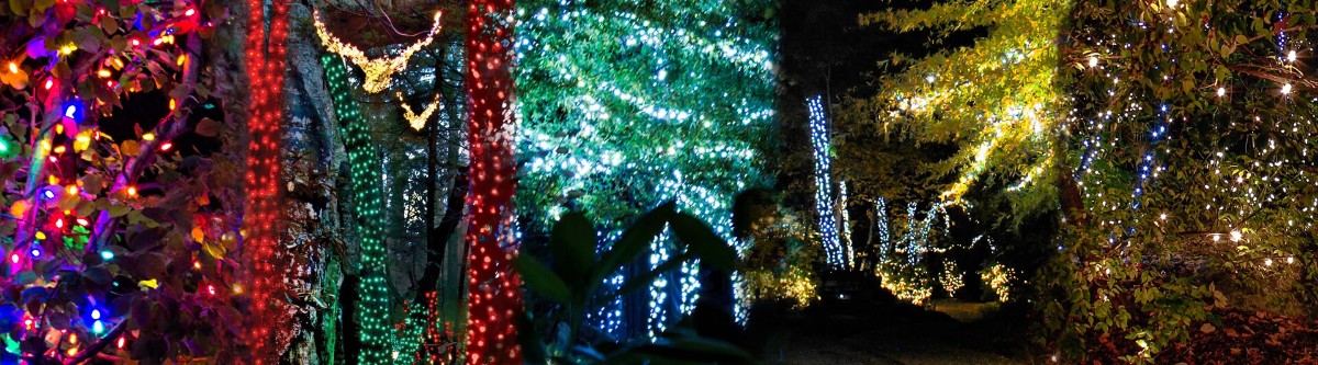 Christmas Lights at Rock City, Chattanooga,TN 