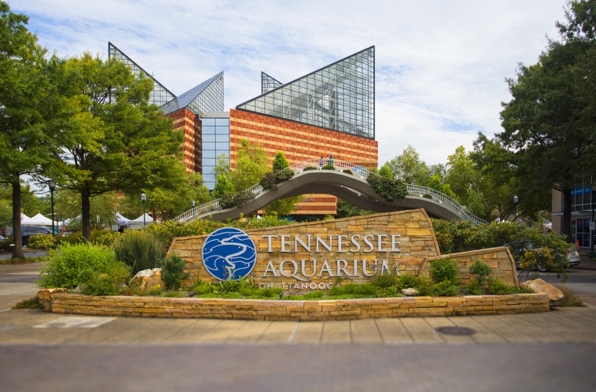 Tennessee Aquarium, Chattanooga, TN