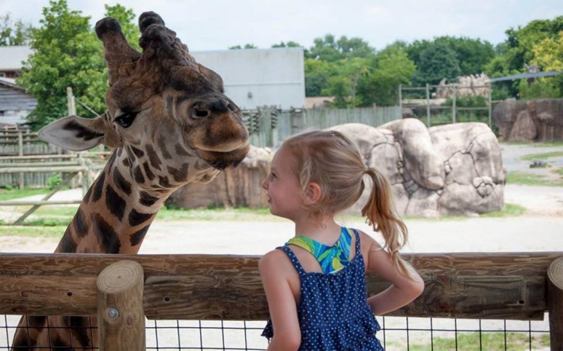 Knoxville Zoo