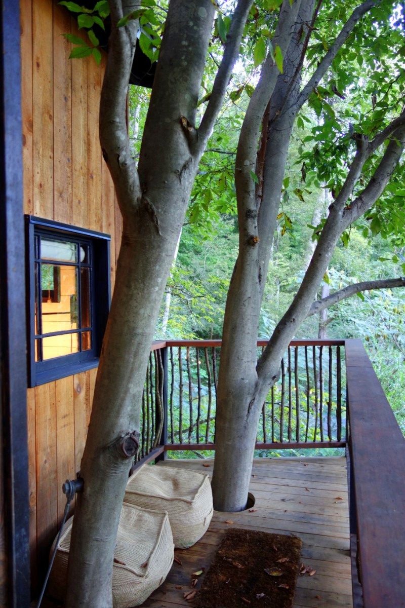 Treetop Hideaways