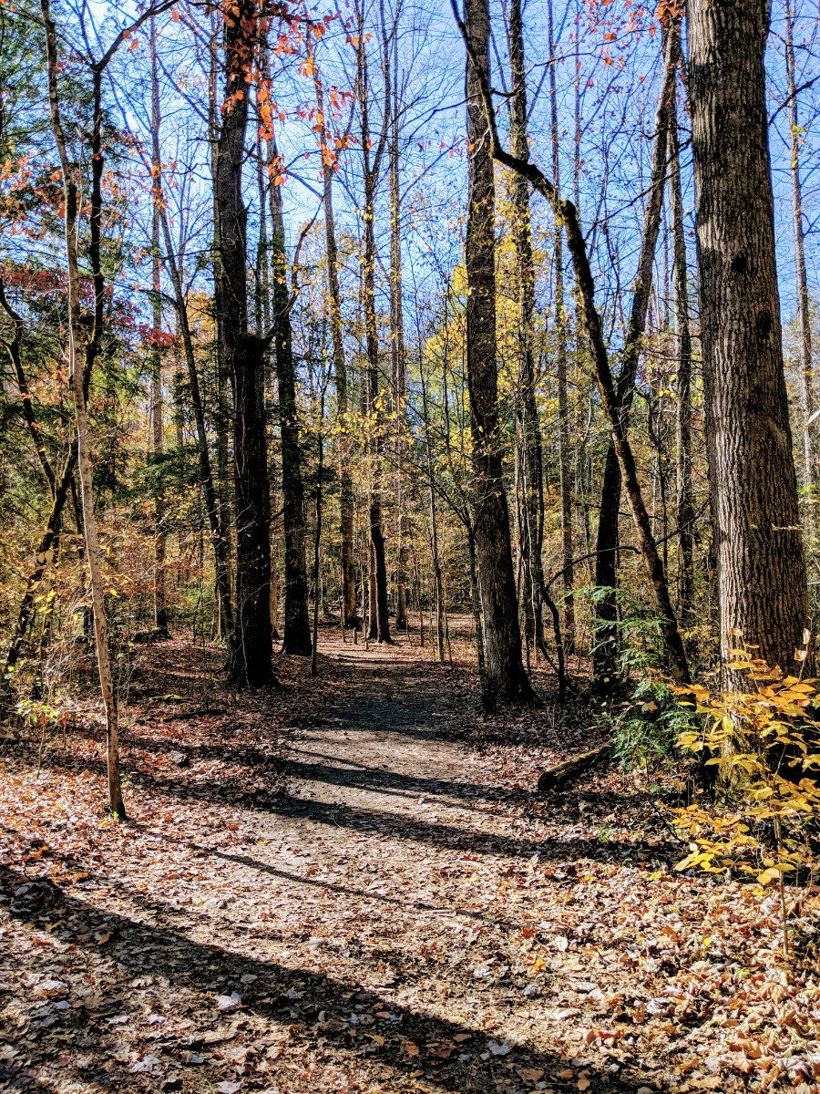 trail, Smoky Mountain National Park