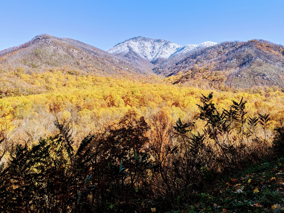 Fall in Smoky Mountain National Park