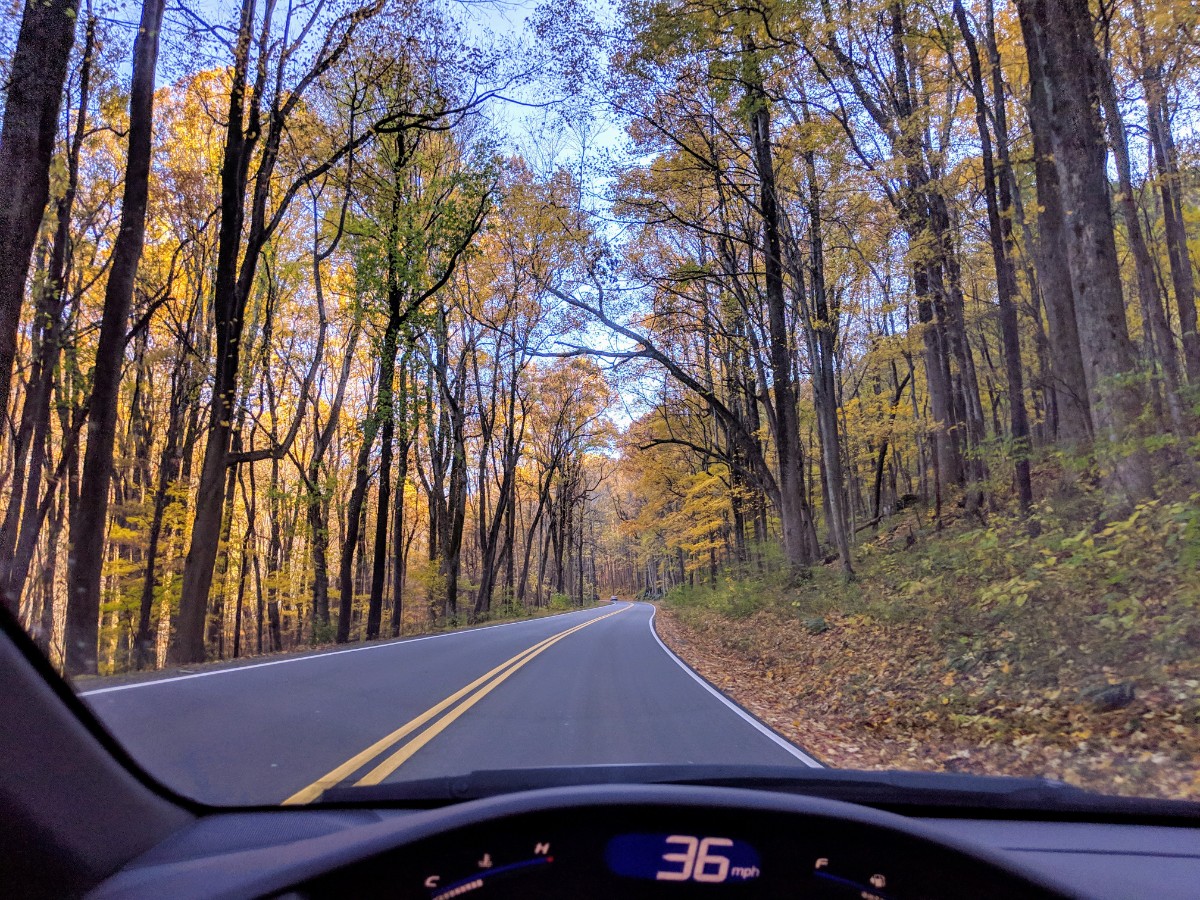 Driving, Fall in Smoky Mountain National Park