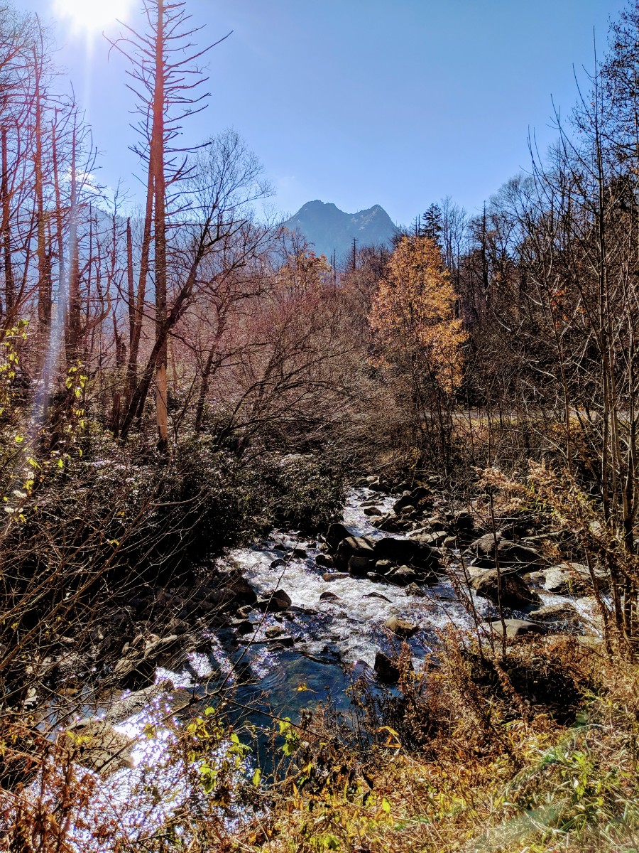 Fall in Smoky Mountain National Park