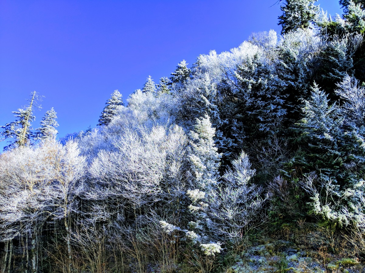 Fall in Smoky Mountain National Park