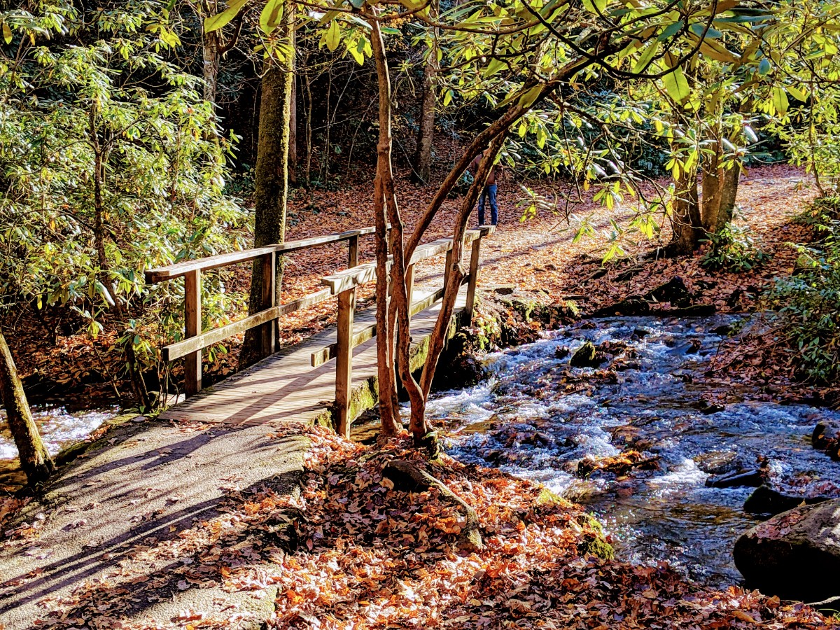 Fall in Smoky Mountain National Park