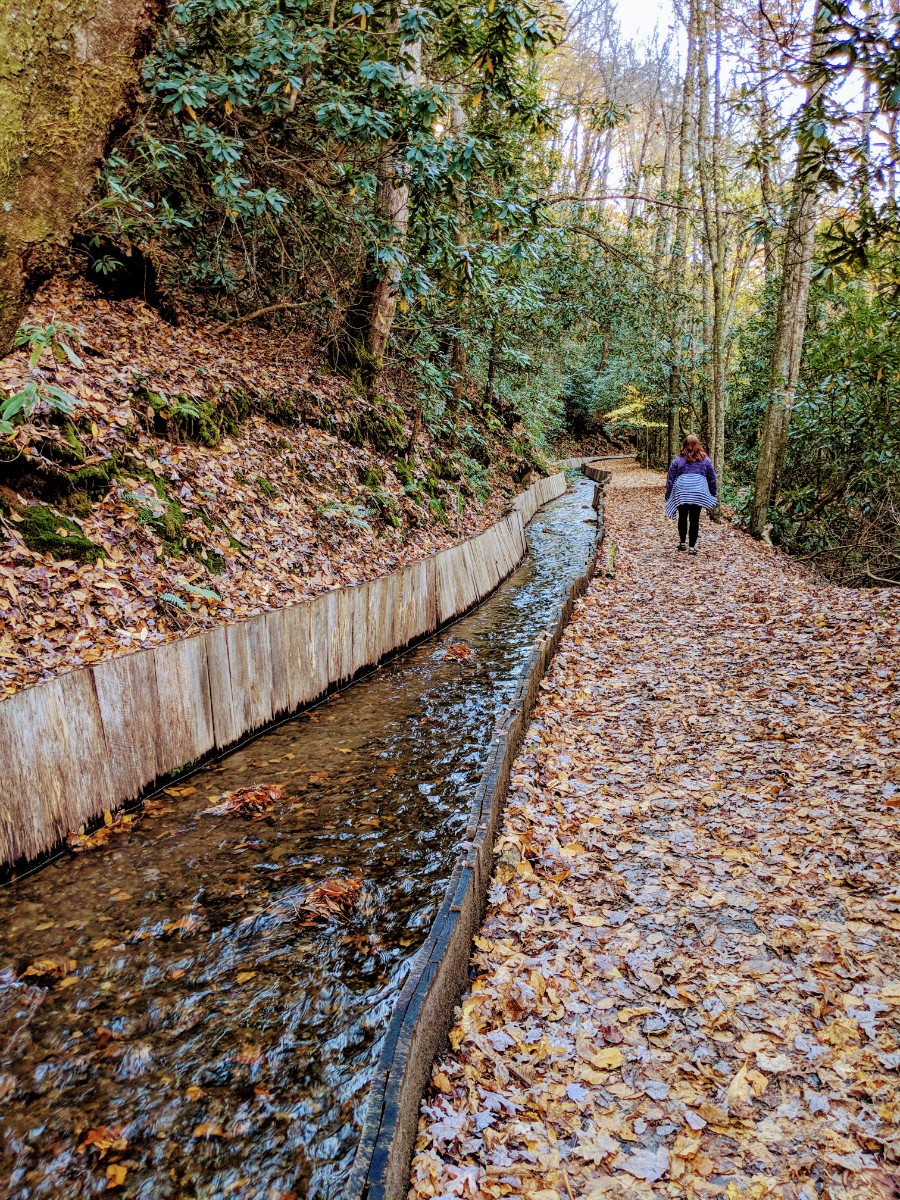 Fall in Smoky Mountain National Park