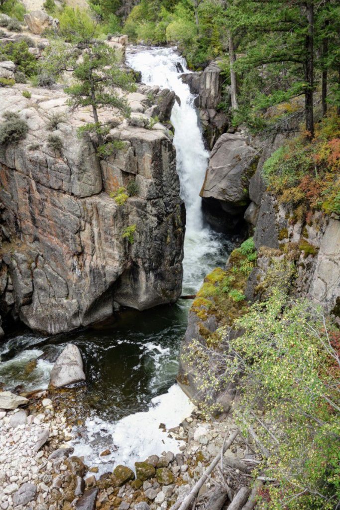 Roadtrip to Yellowstone