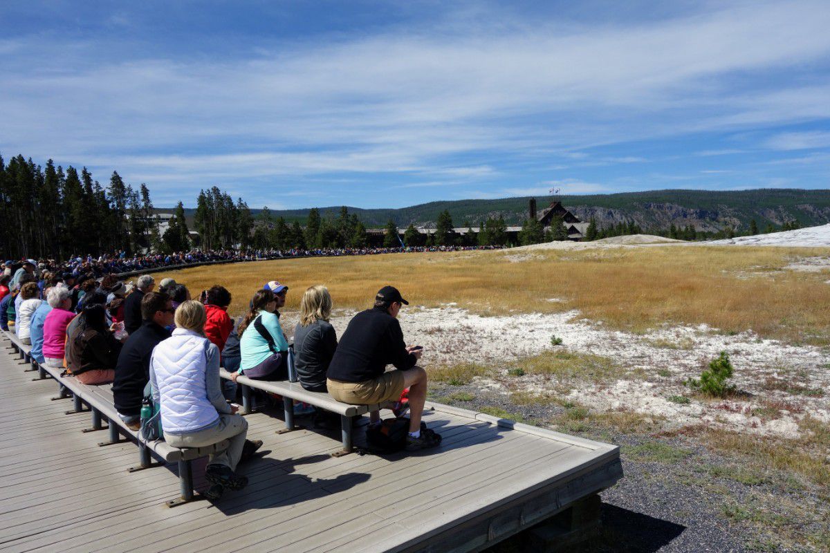 One Day In Yellowstone - Roadtrips & Rollercoasters