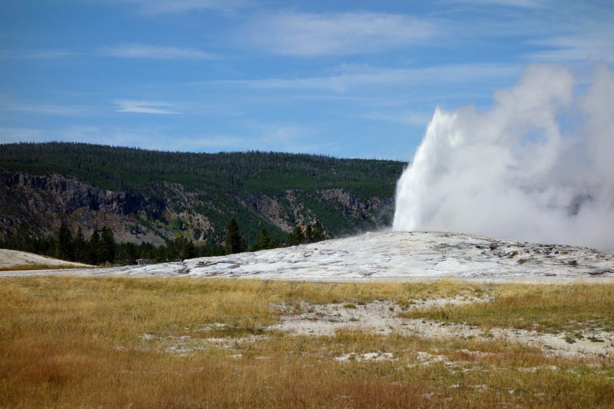 One Day In Yellowstone - Roadtrips & Rollercoasters