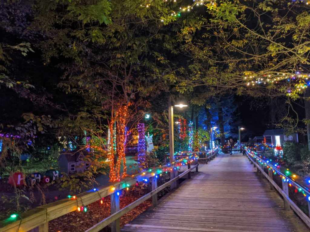 Lights Before Christmas pathway