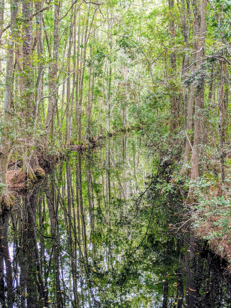 Okefenokee Swamp Park