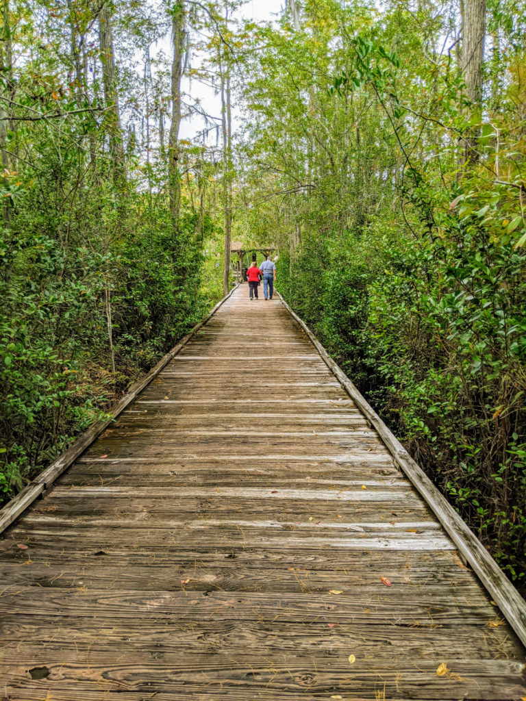 okefenokee swamp train tour