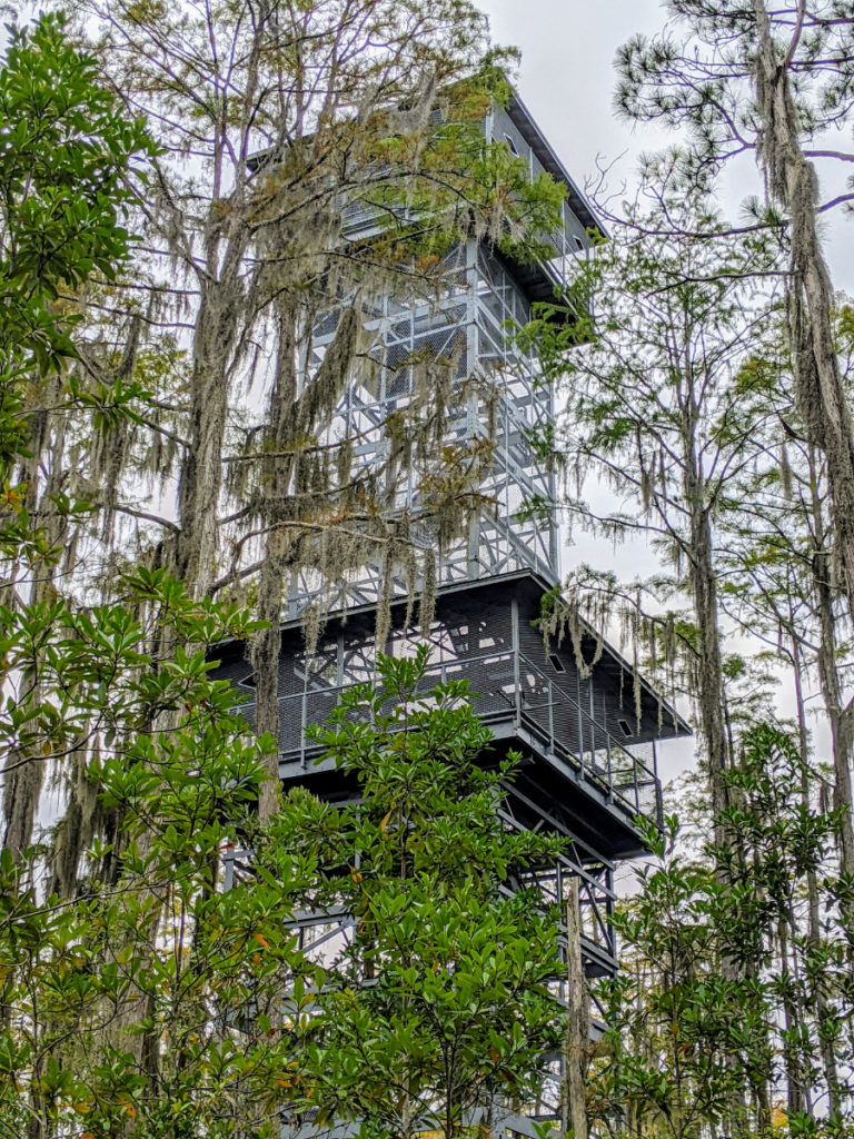 okefenokee swamp train tour