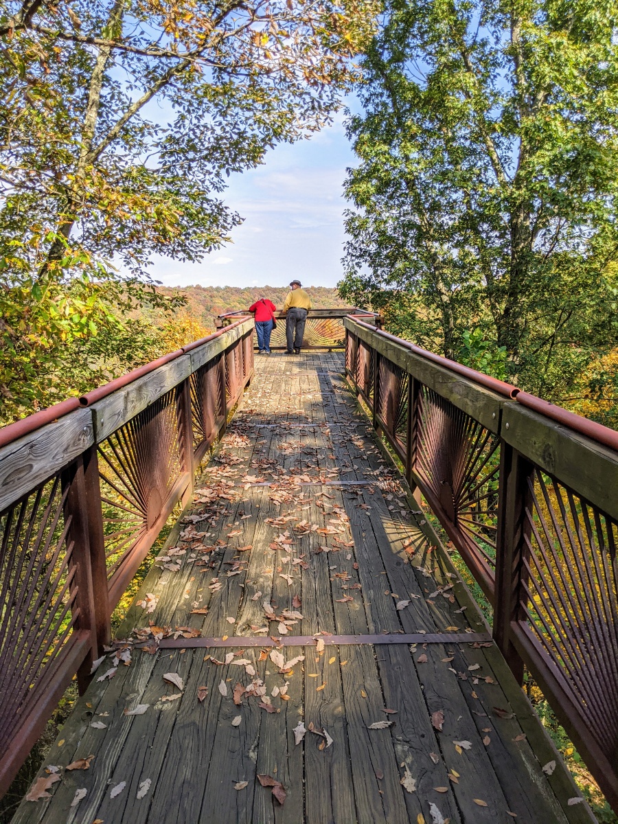 Bernheim Forest Giants – Roadtrips And Rollercoasters