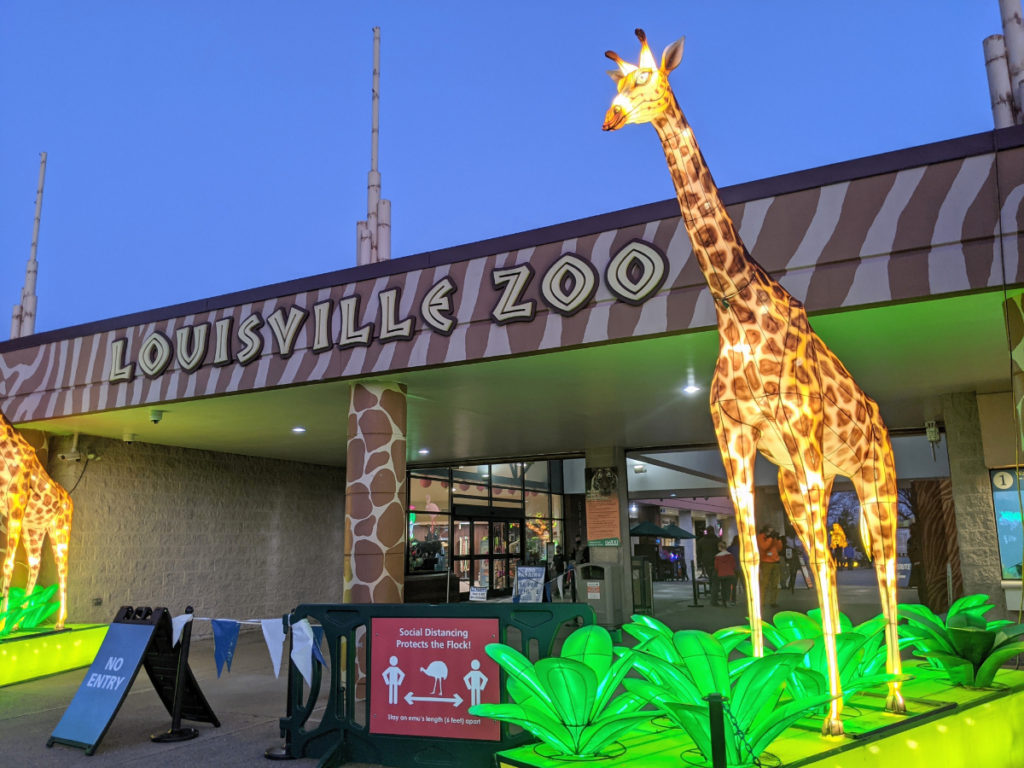 Wild Lights at the Louisville Zoo