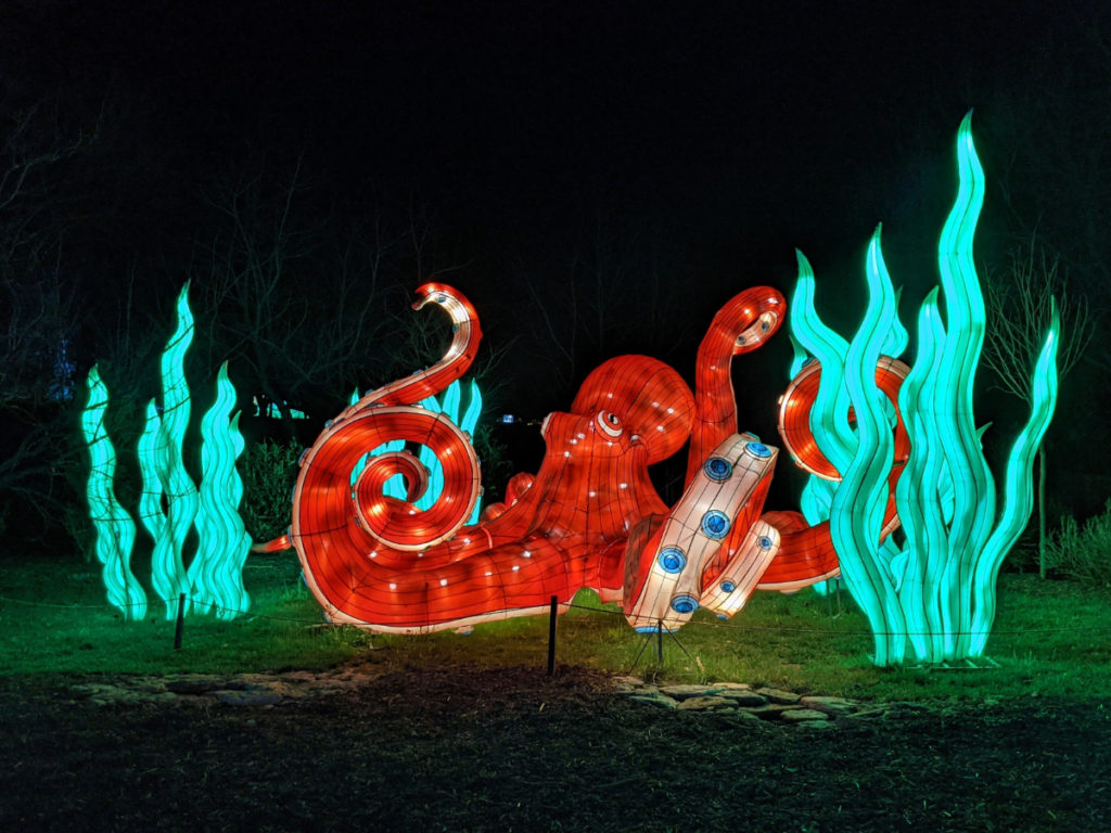 Wild Lights at the Louisville Zoo