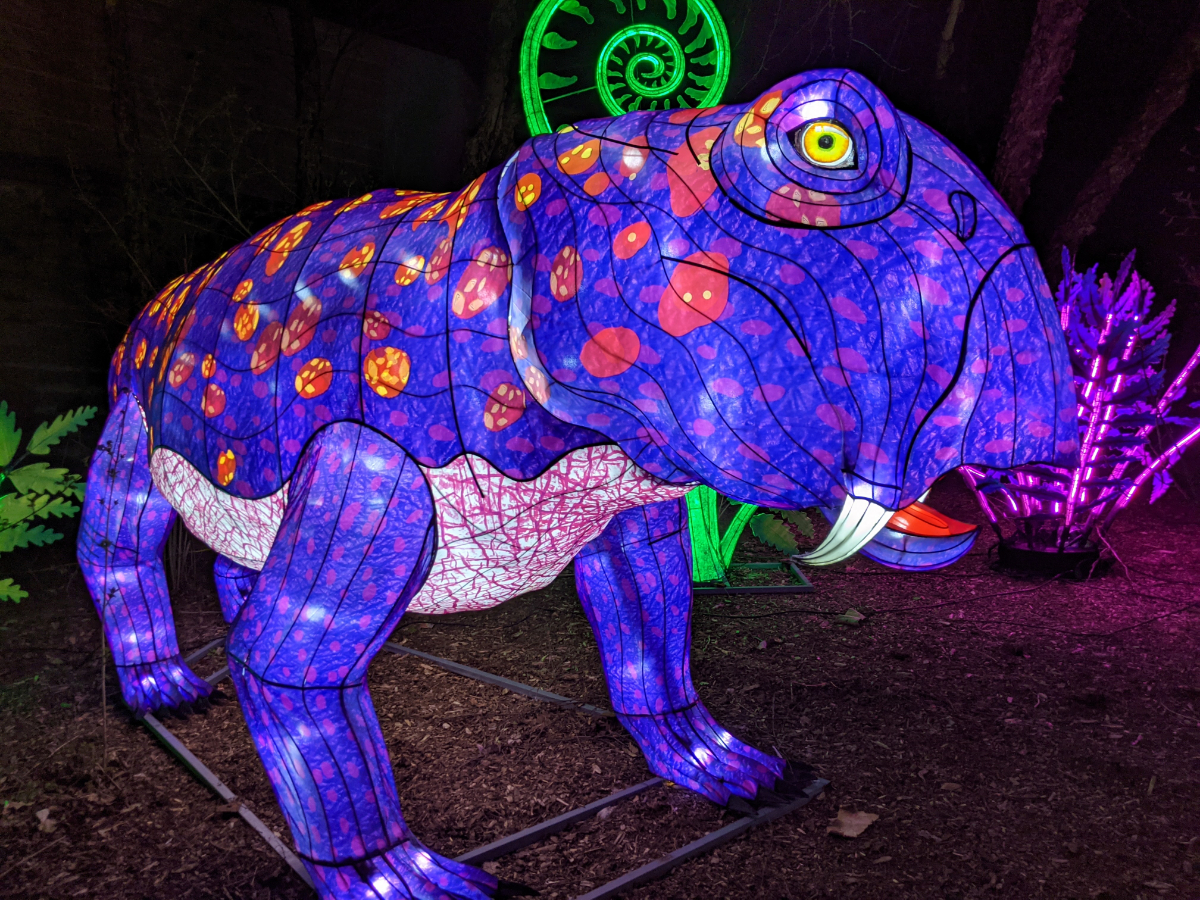 Wild Lights at the Louisville Zoo Roadtrips & Rollercoasters