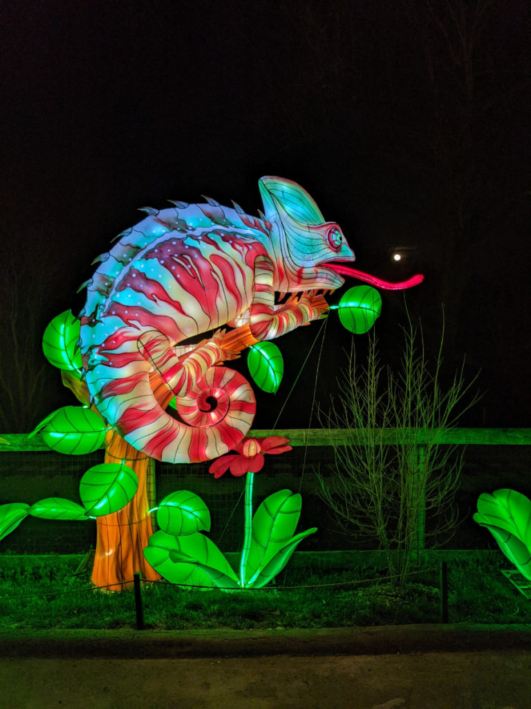 Wild Lights at the Louisville Zoo