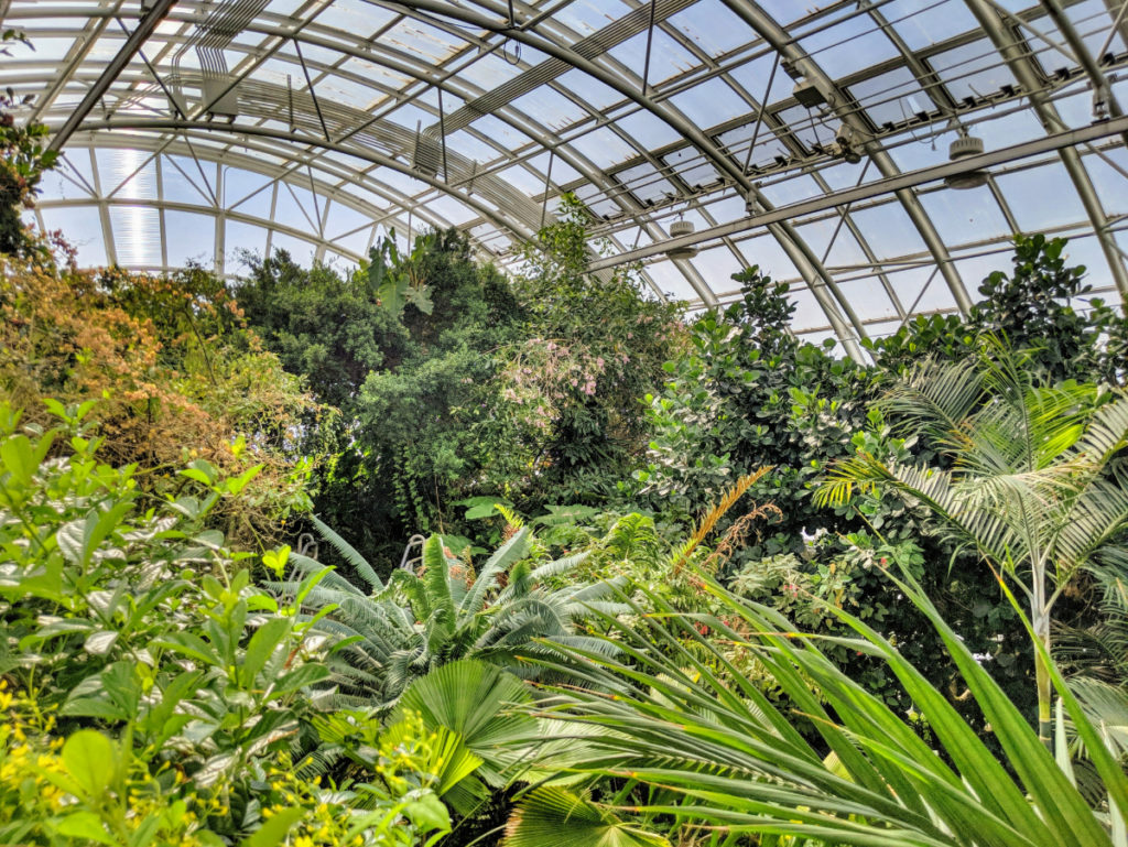 Myriad Botanical Gardens