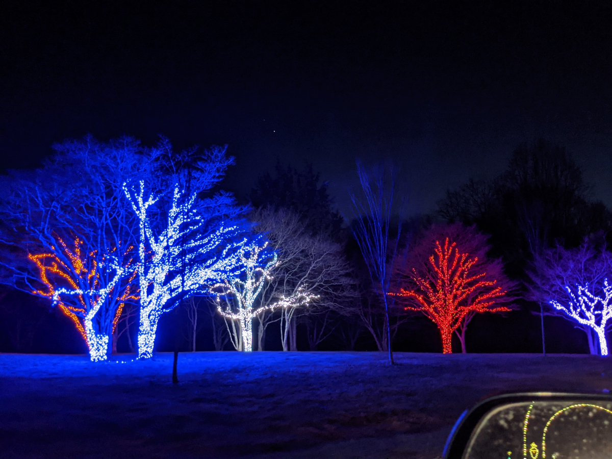 Winter Lights at Seneca Creek State Park Roadtrips & Rollercoasters