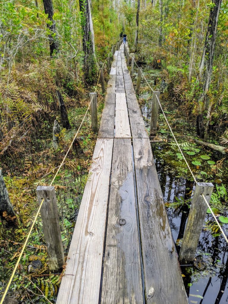 Okefenokee Swamp Park