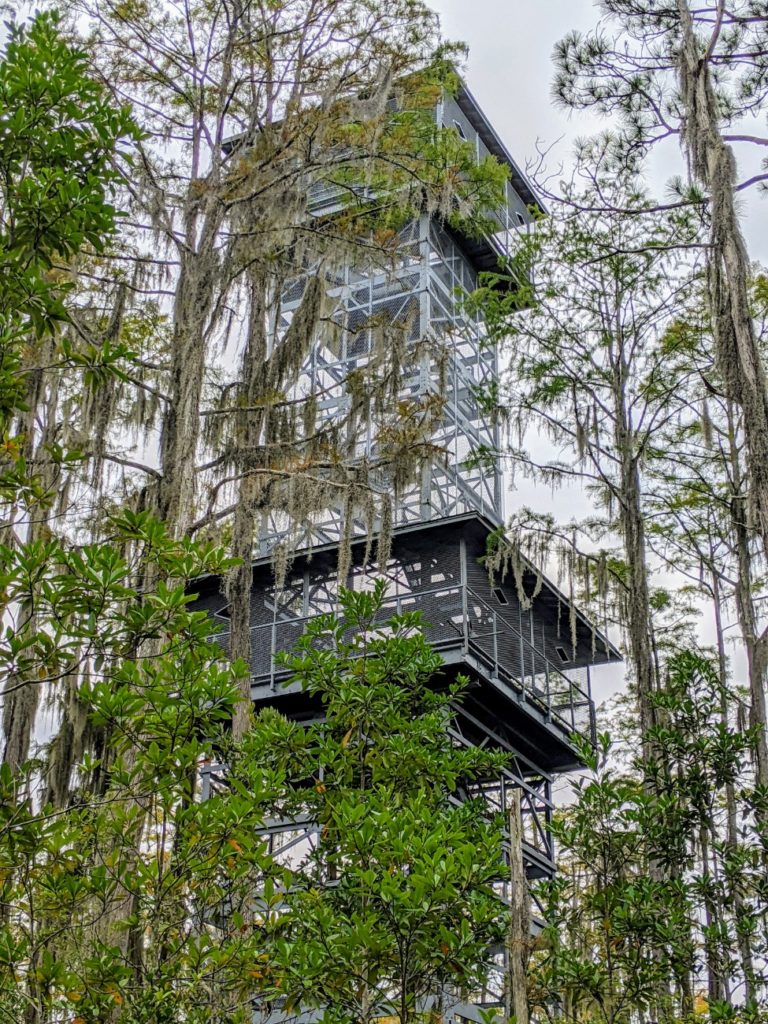 Okefenokee Swamp Park