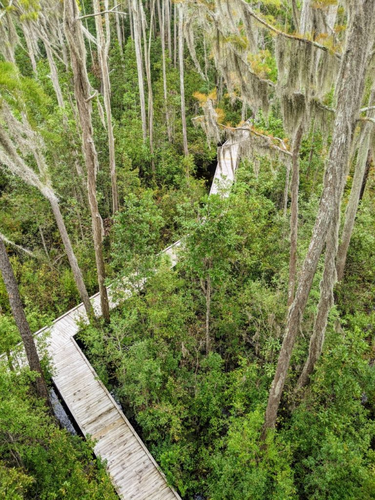 Okefenokee Swamp Park