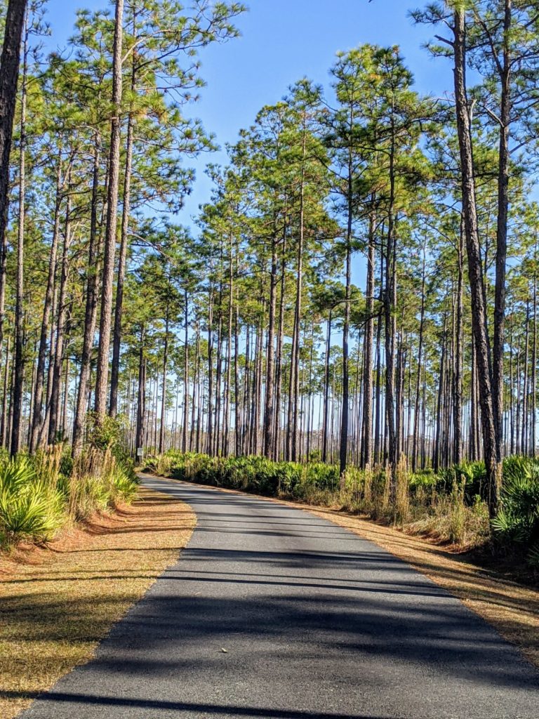 Okefenokee National Wildlife Refuge