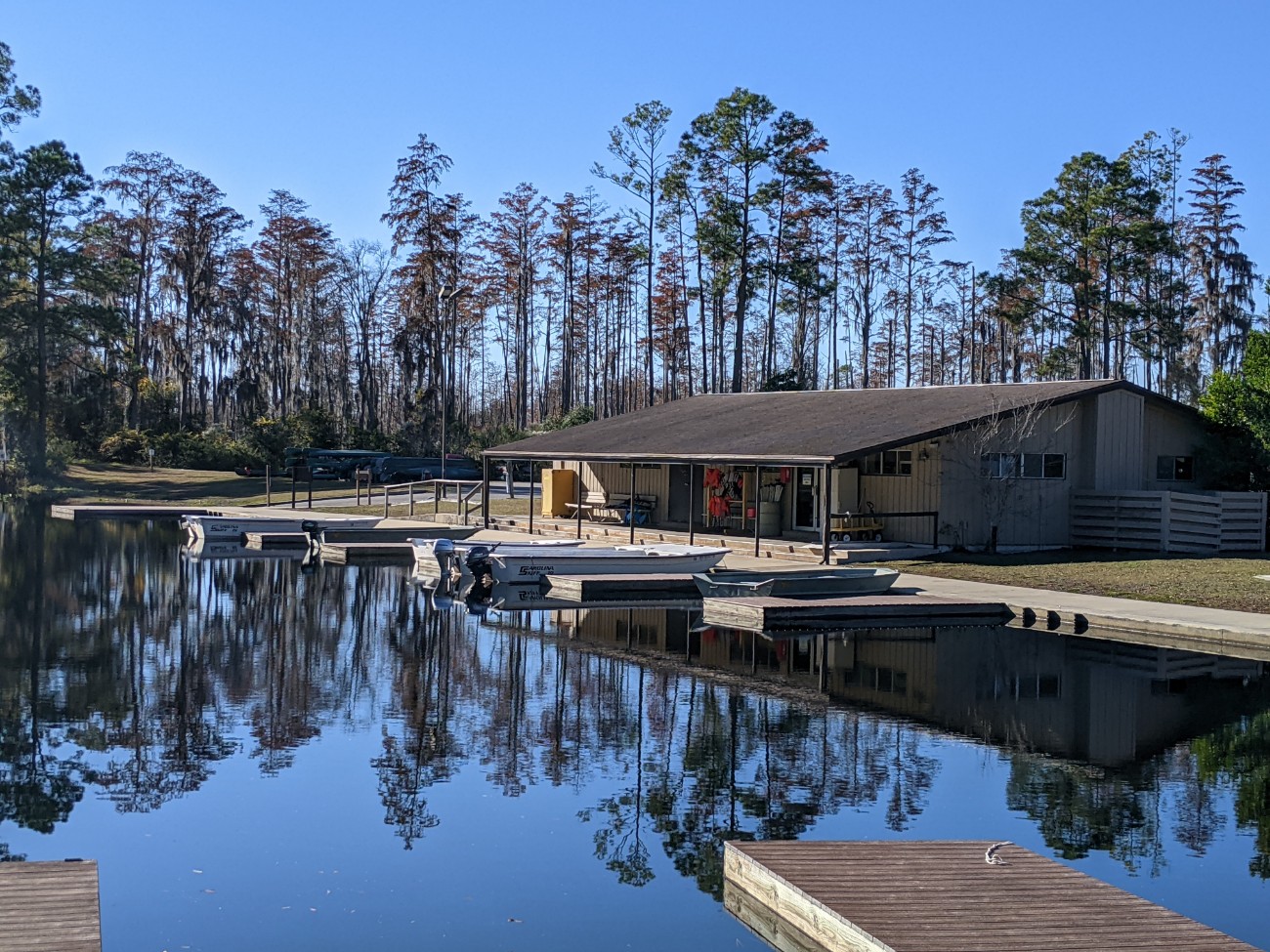 Okefenokee National Wildlife Refuge Roadtrips Rollercoasters   PXL 20211130 193755190 