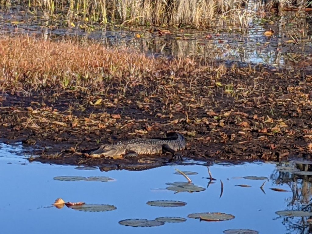 Okefenokee National Wildlife Refuge