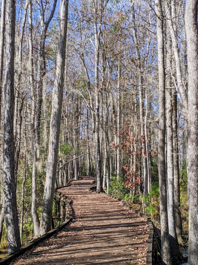 Stephen C Foster State Park