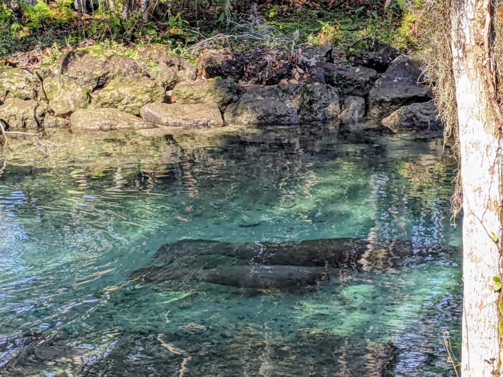 Three Sisters Springs