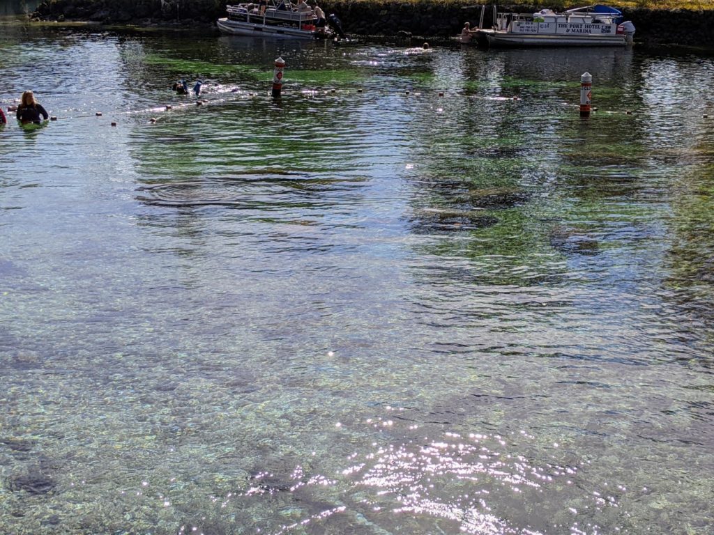 Three Sisters Springs