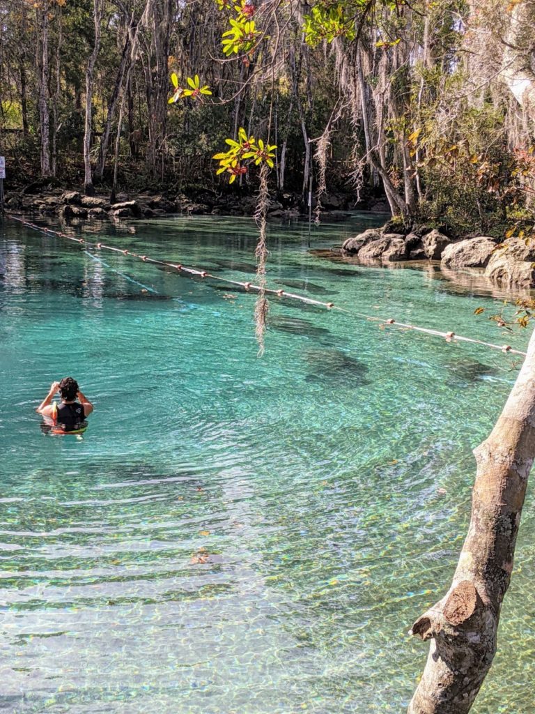 Three Sisters Springs